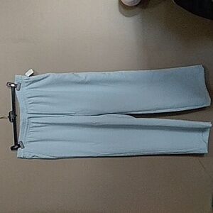 Wilfred Powder Blue pants size xl
